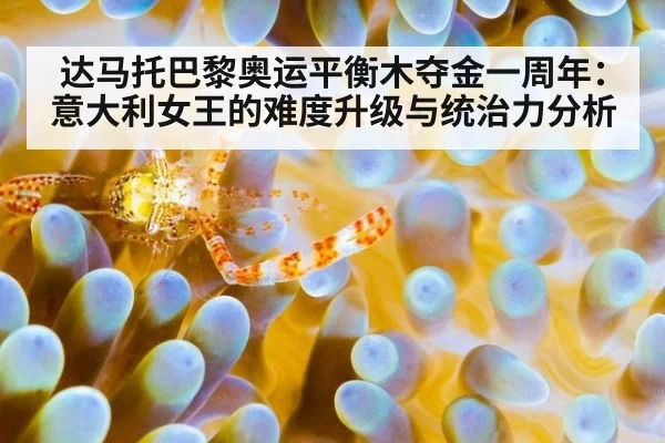 达马托巴黎奥运平衡木夺金一周年：意大利女王的难度升级与统治力分析